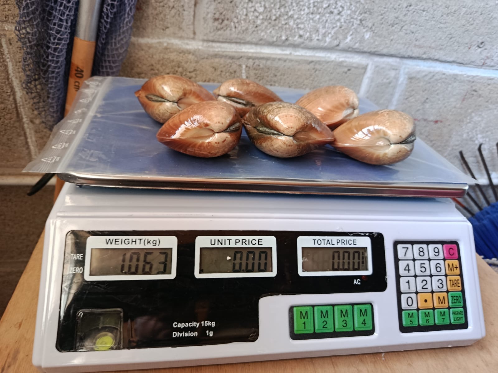 Six vernis présentés sur le plateau d’une balance